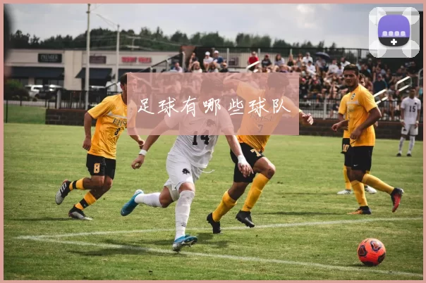 足球有哪些球队