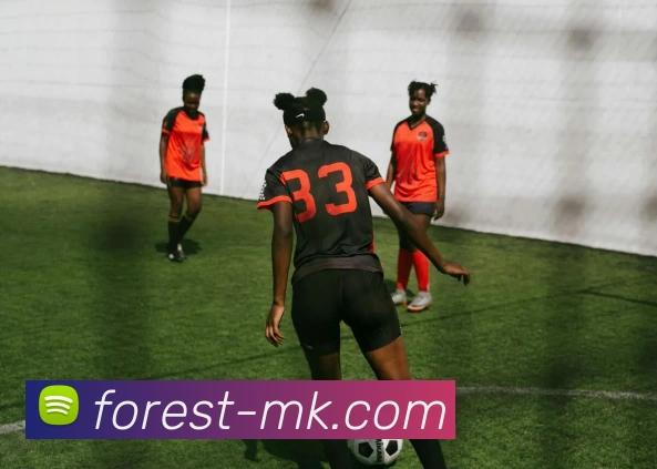 mk体育平台生态图