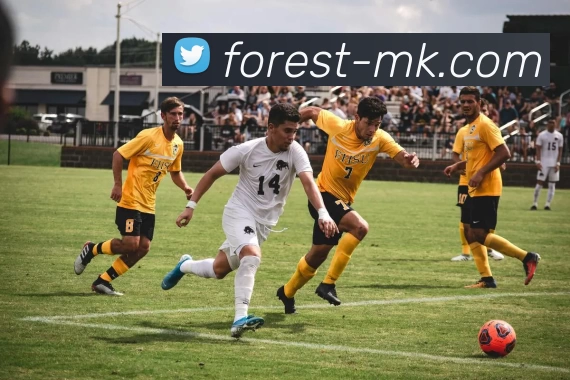 mk体育APP 封面图